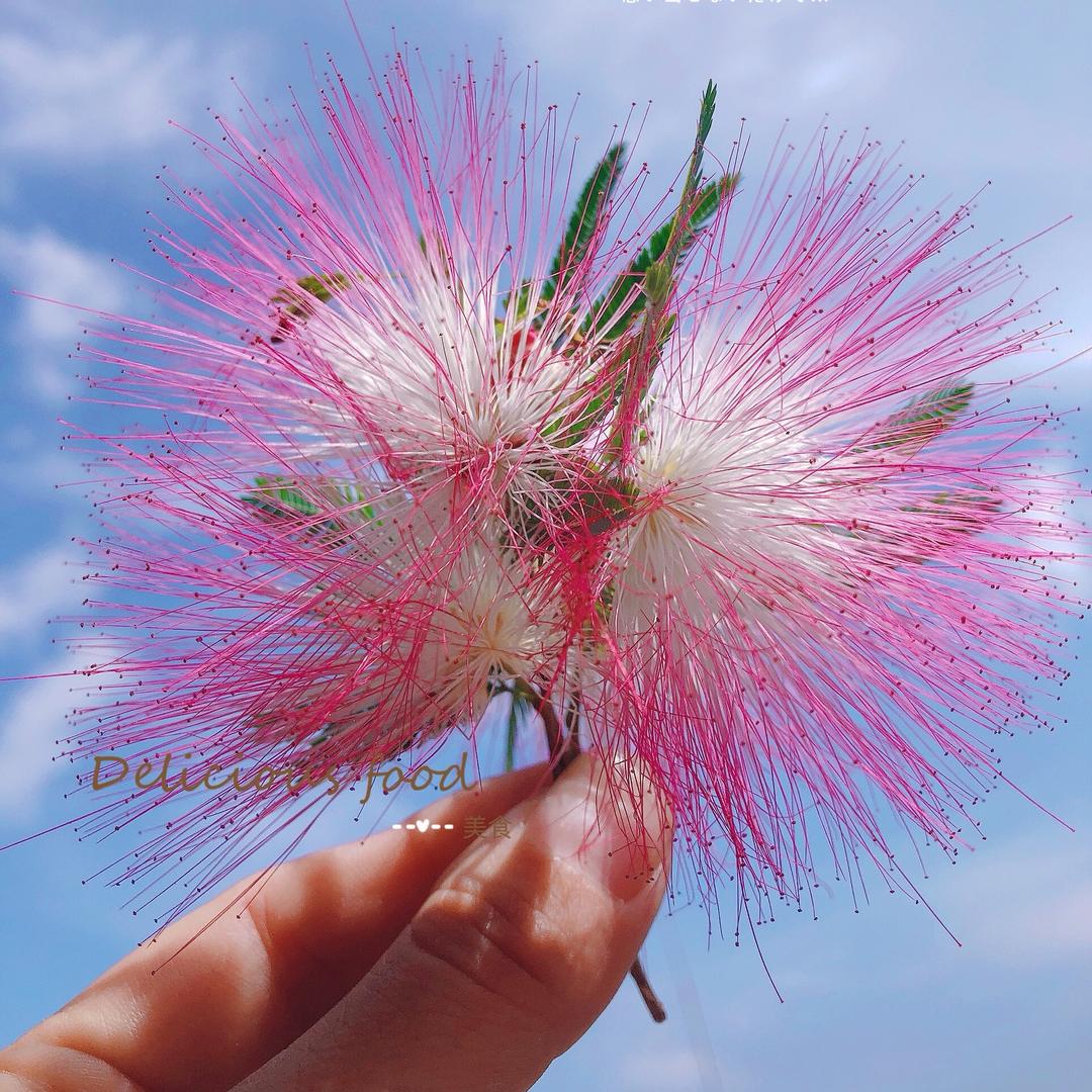 💗᭄🍀幸运草ꕥ້໌ᮨ