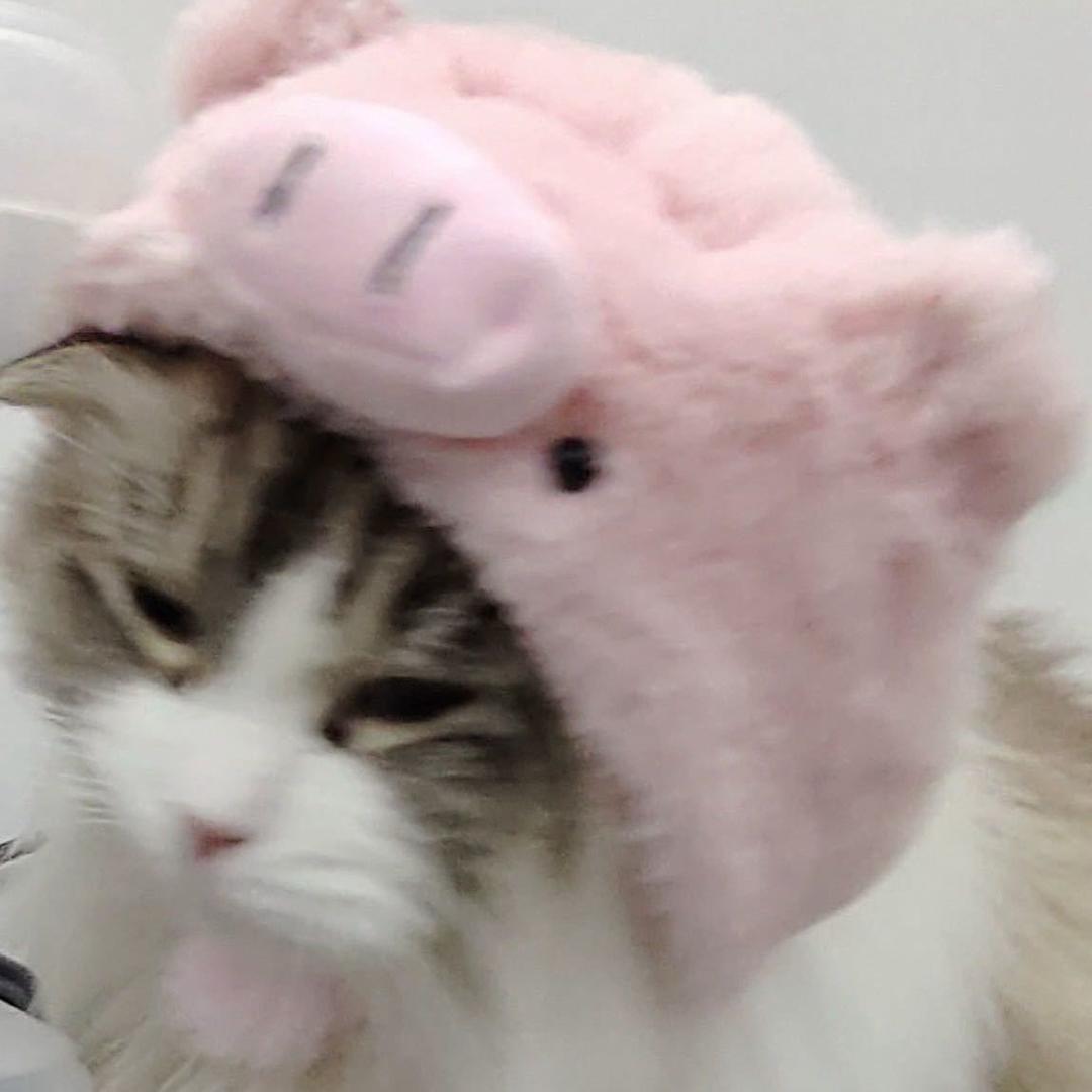 小小周