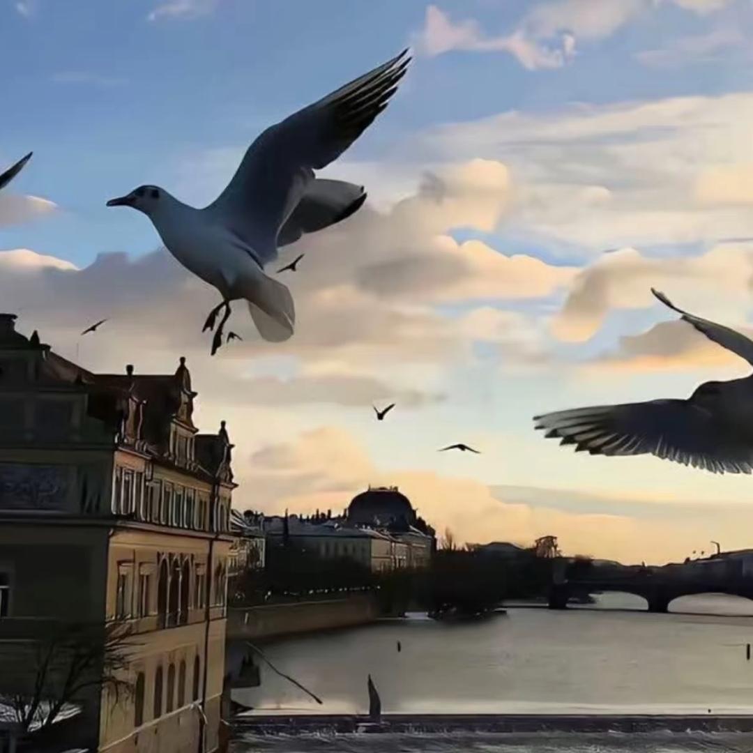 子恩是个淘气宝.