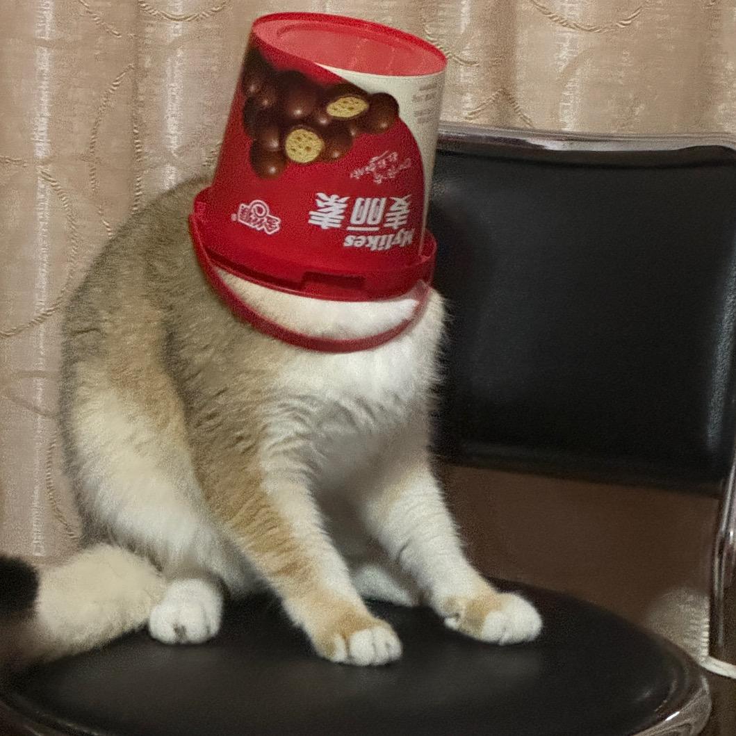 蒙桃