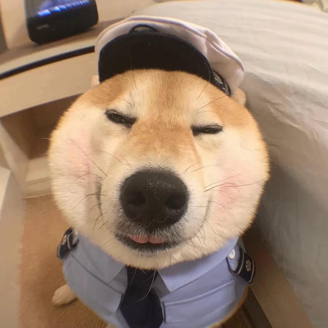乌龙茶