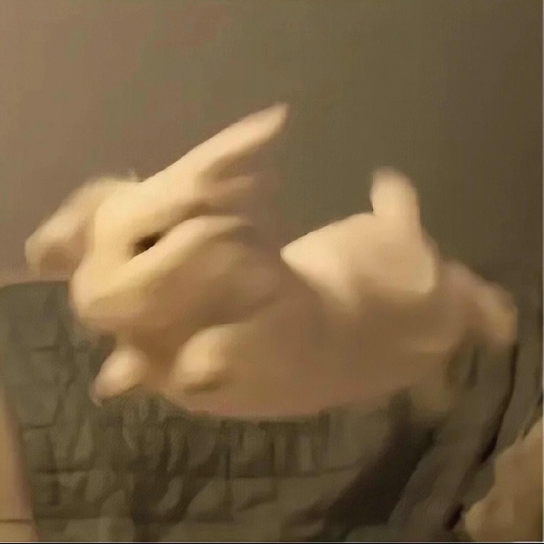 蓝胖子.