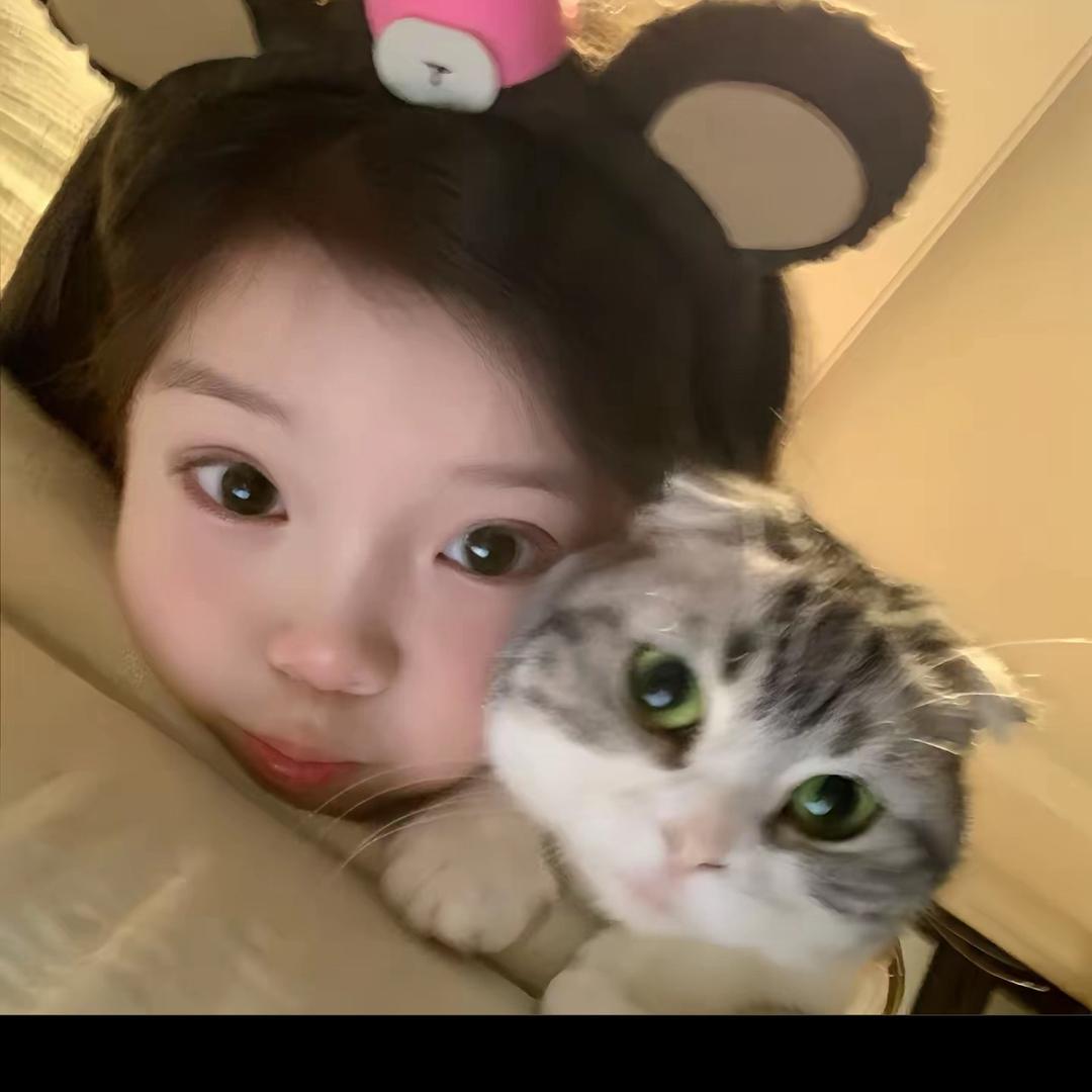 罗猪