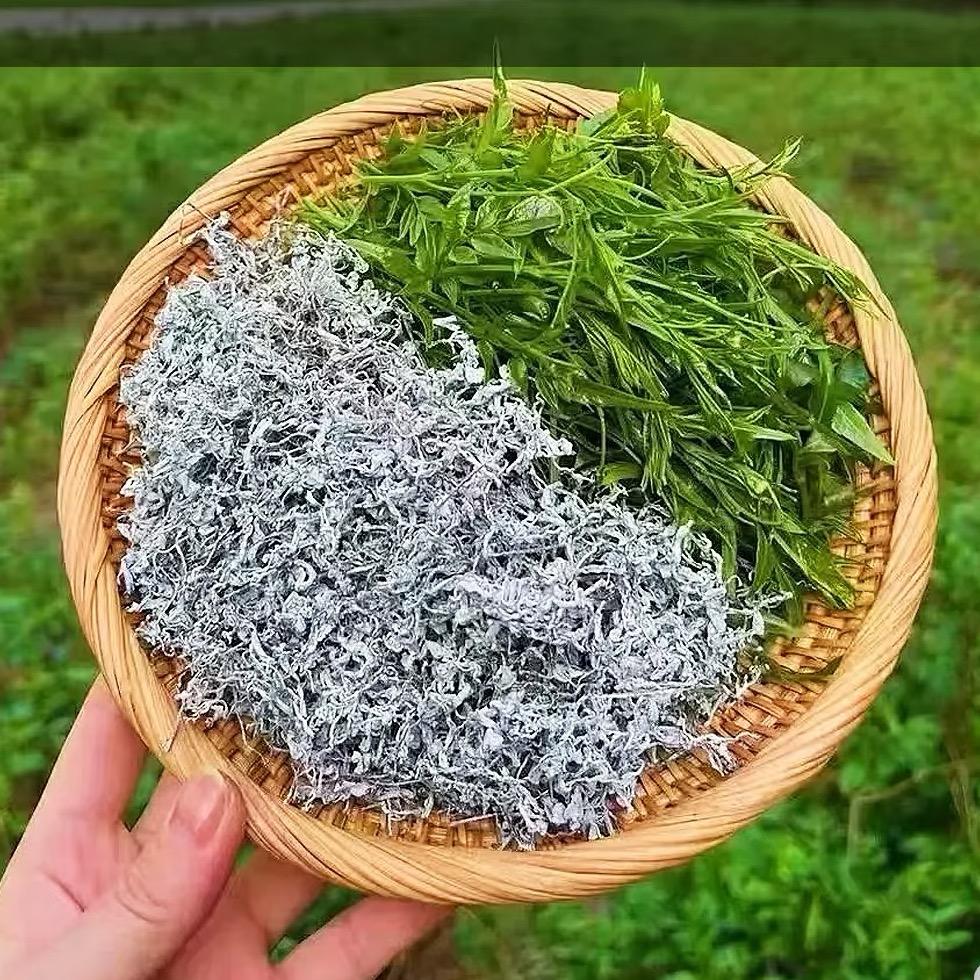 恩施藤茶甄选