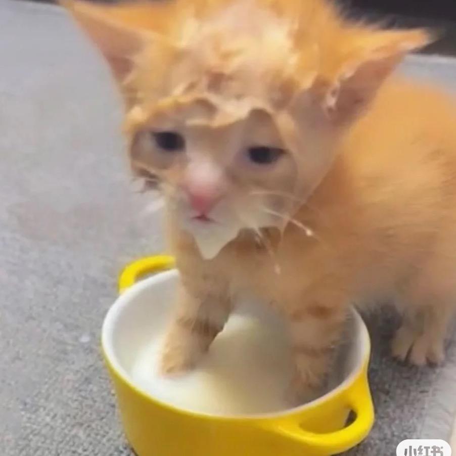 新生婴幼儿宝宝奶粉