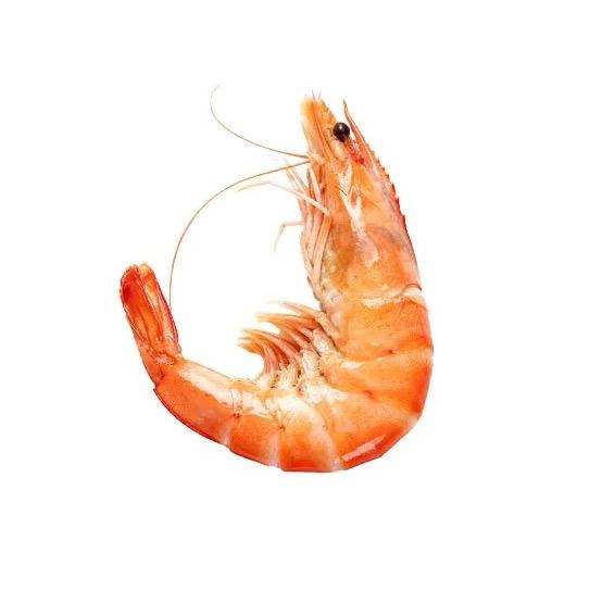 虾饼🦐-临沂兰田首家