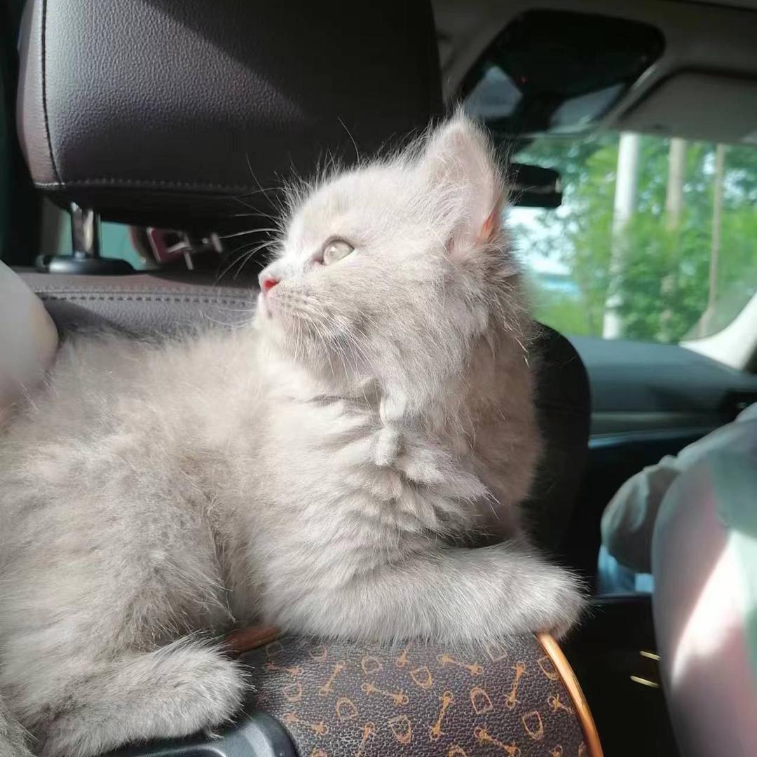 ༄༊࿆清风💞与酒ღ᭄ꦿ࿐拒绝私聊