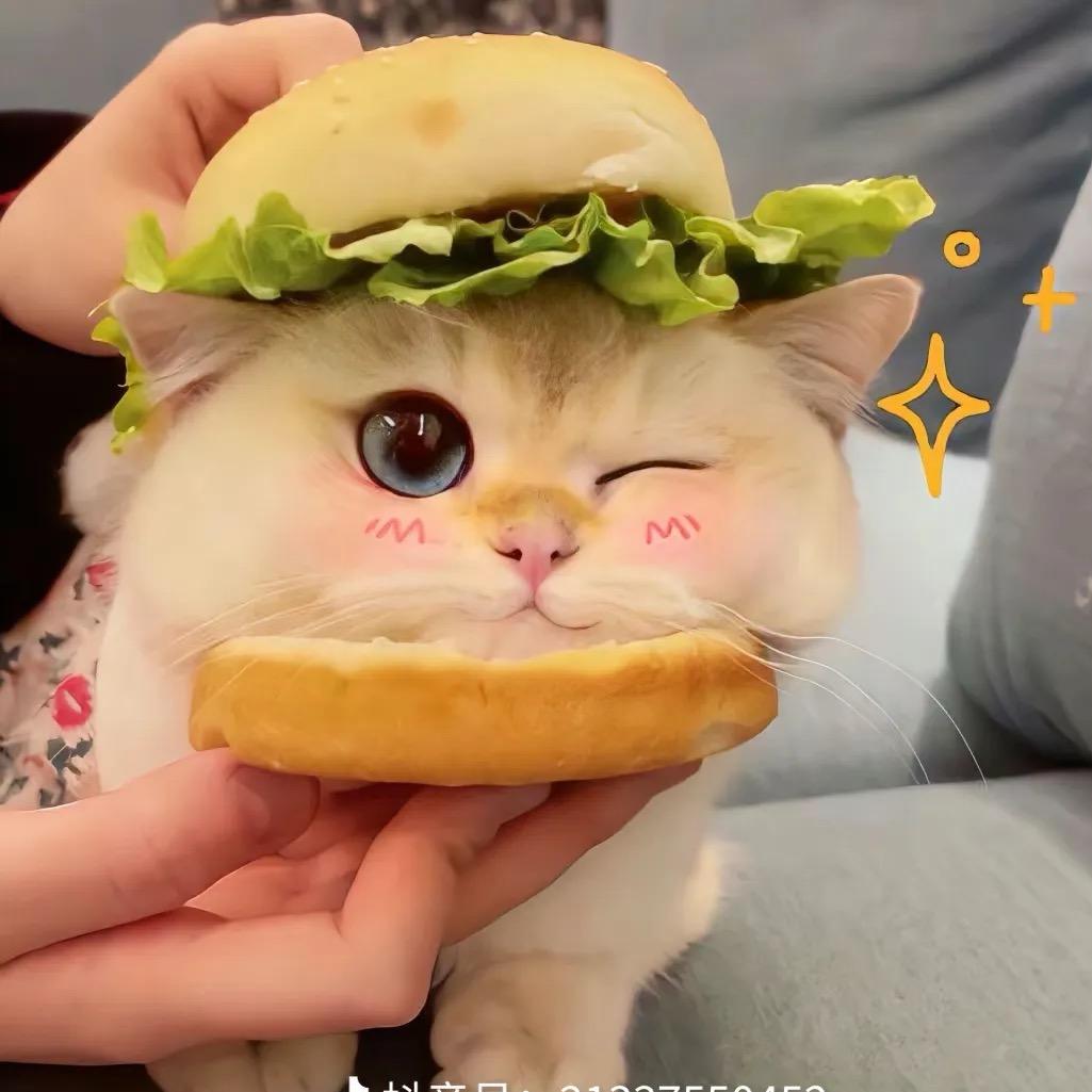 饼饼