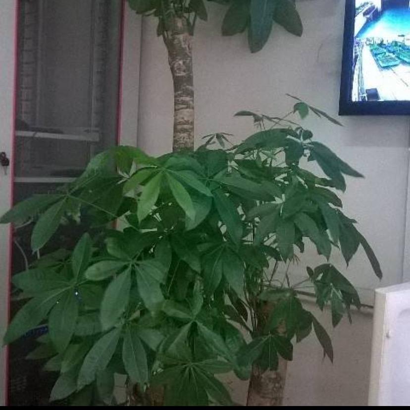 女配她重生之后