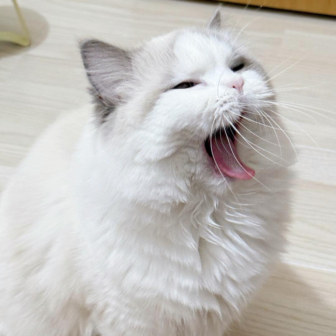 苹果不好吃