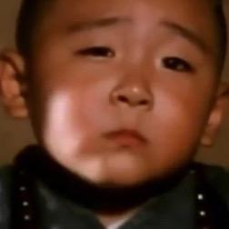 仅限于此