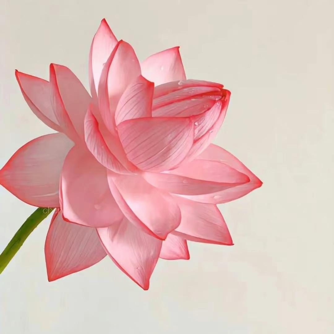 奈秋