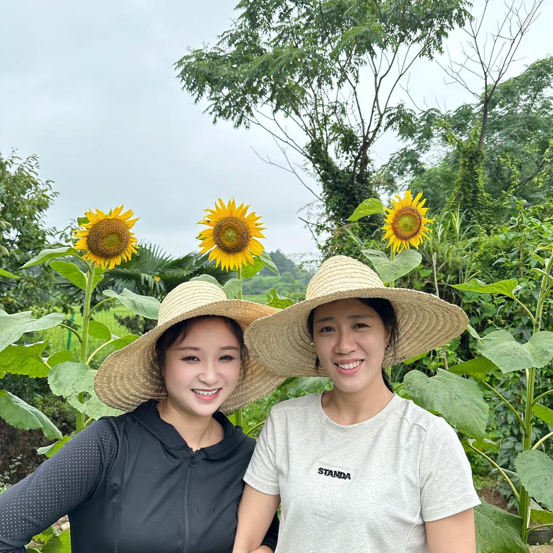 婷婷和燕子