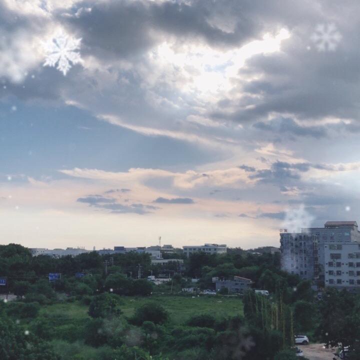 飞扬
