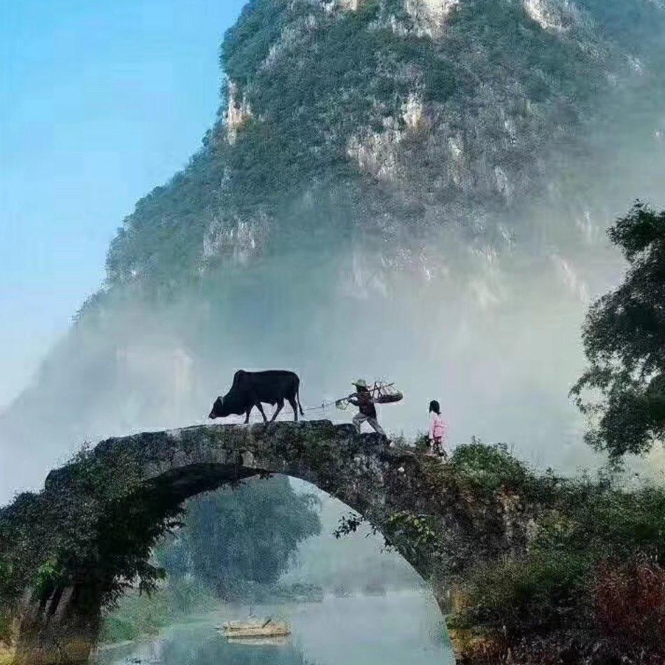 一叶知淑