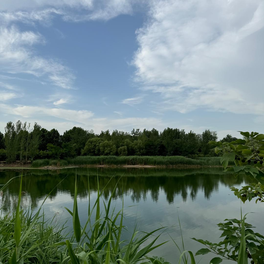 晓薇