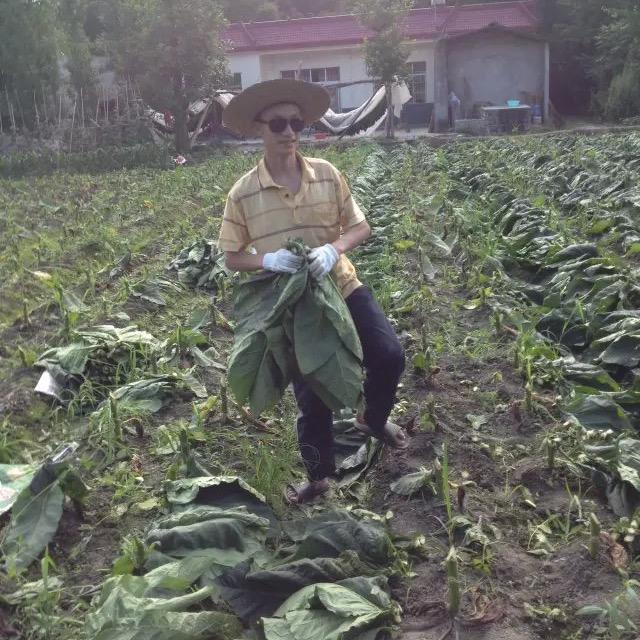 村长让我搞说唱