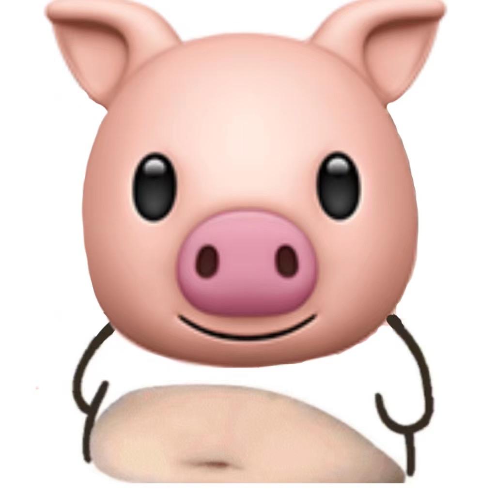 🐷🐽