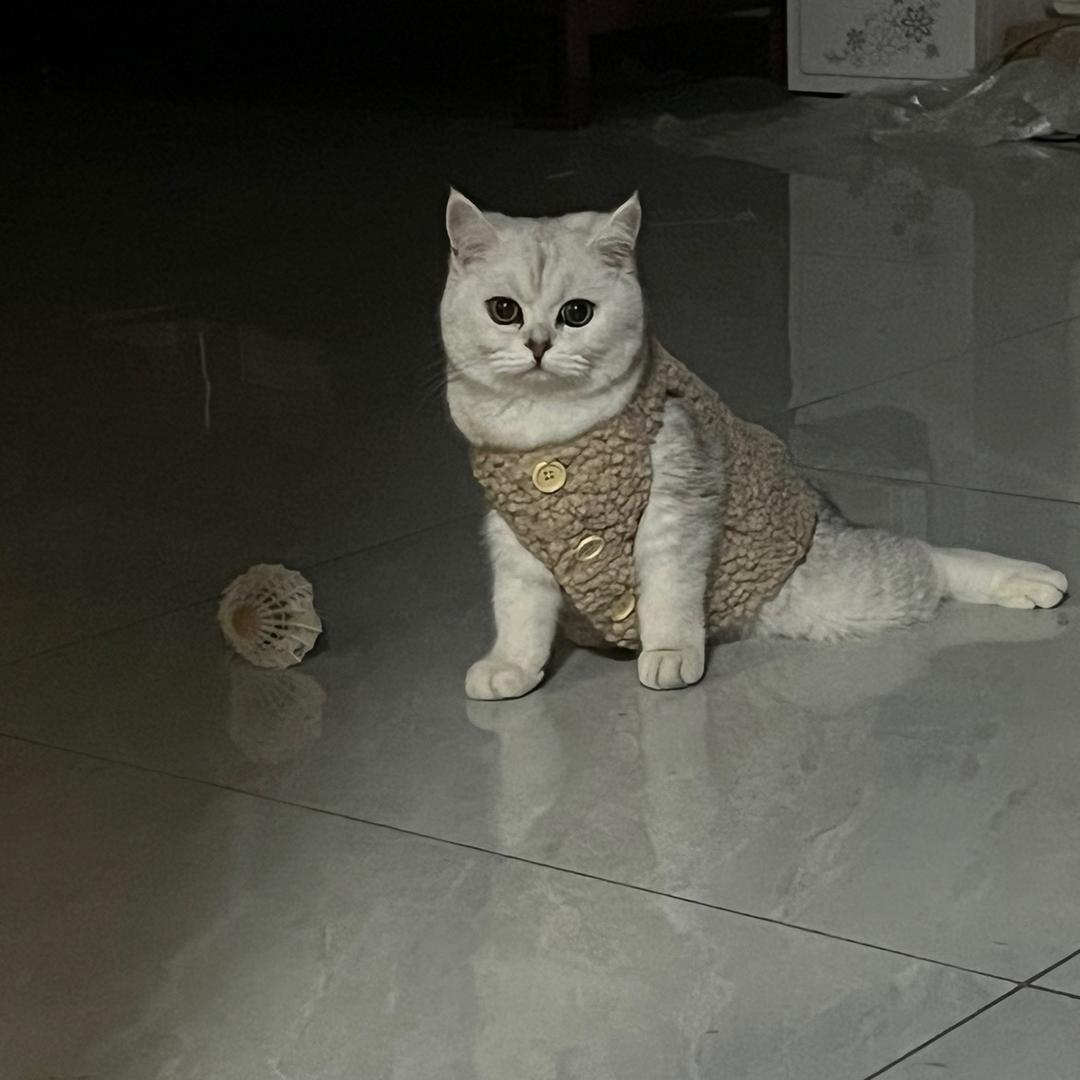 哗啦啦下雨了