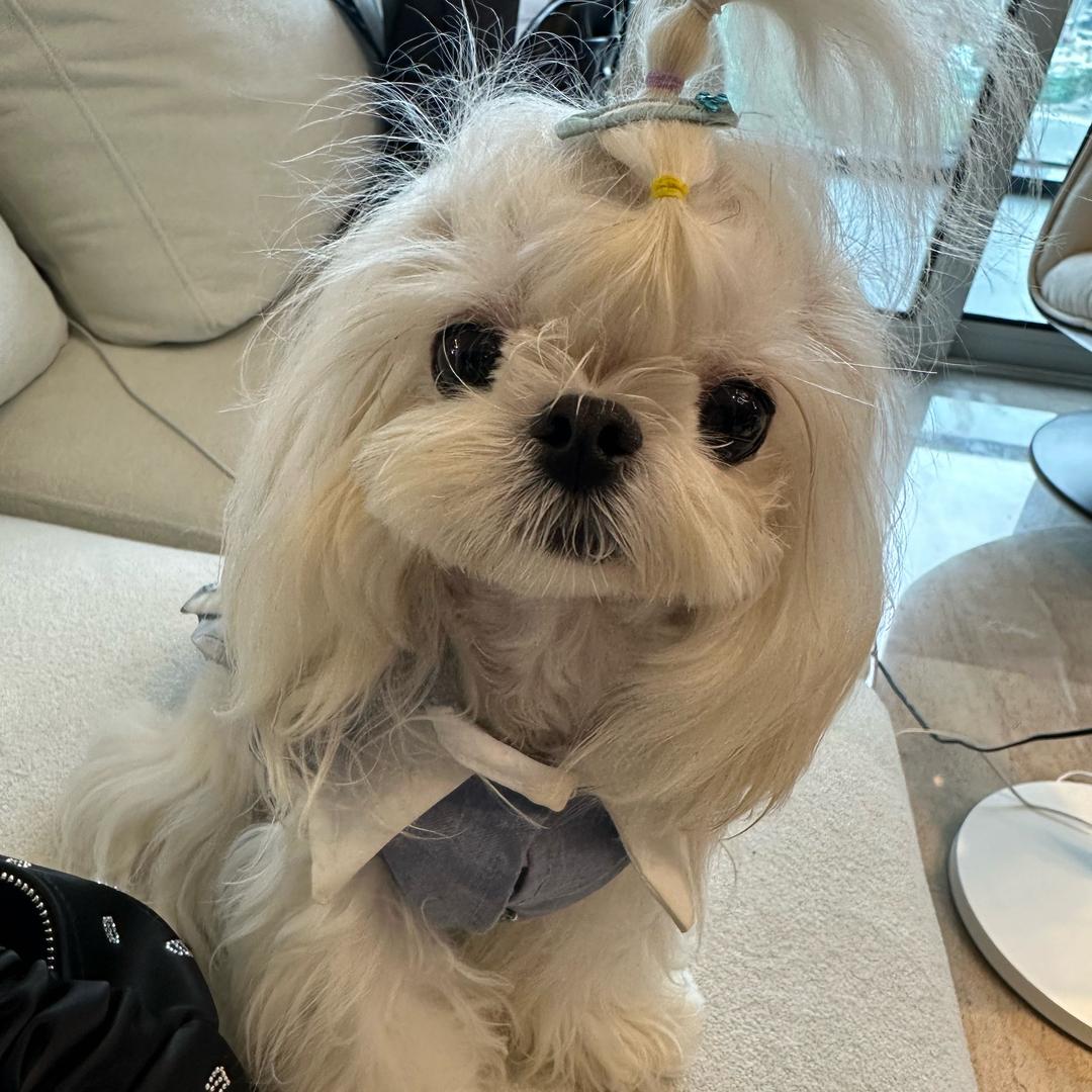 小白不喝酒Andy