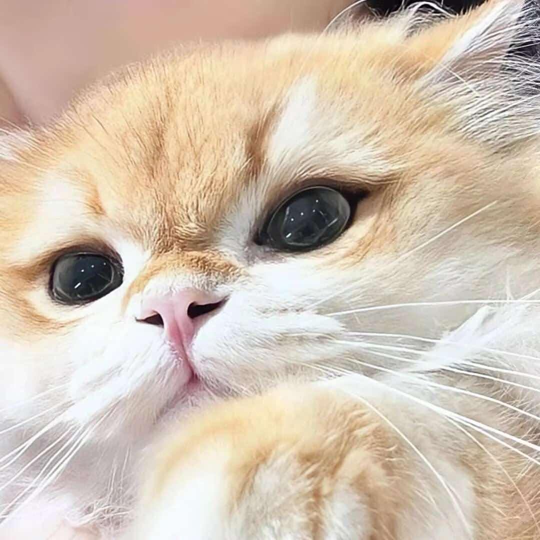 accelerated velocity