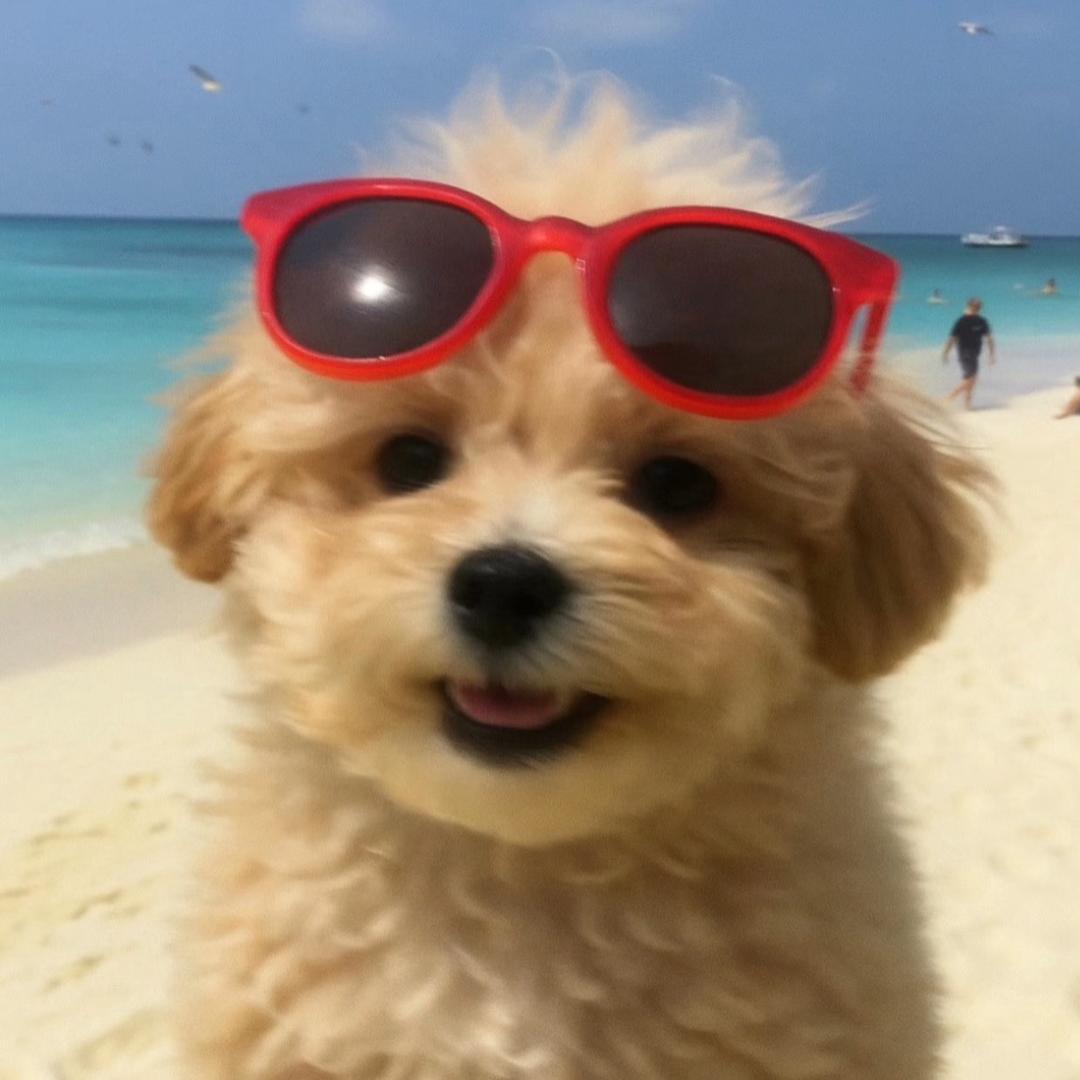 双开门_