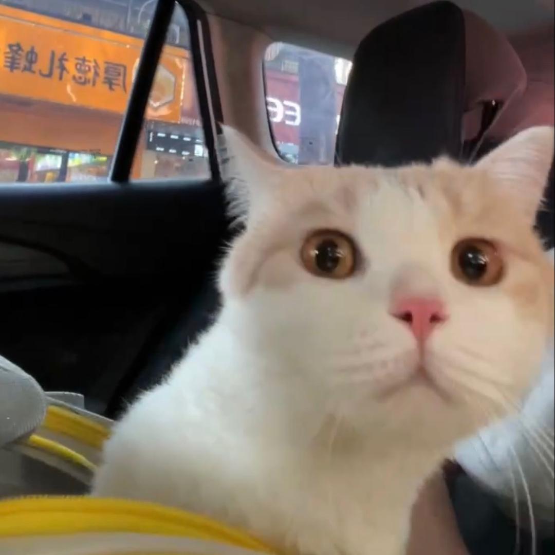 脸红了吗