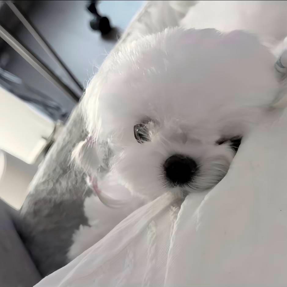 我喜欢钱