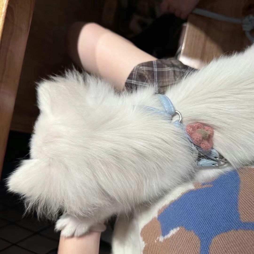Xrrrr