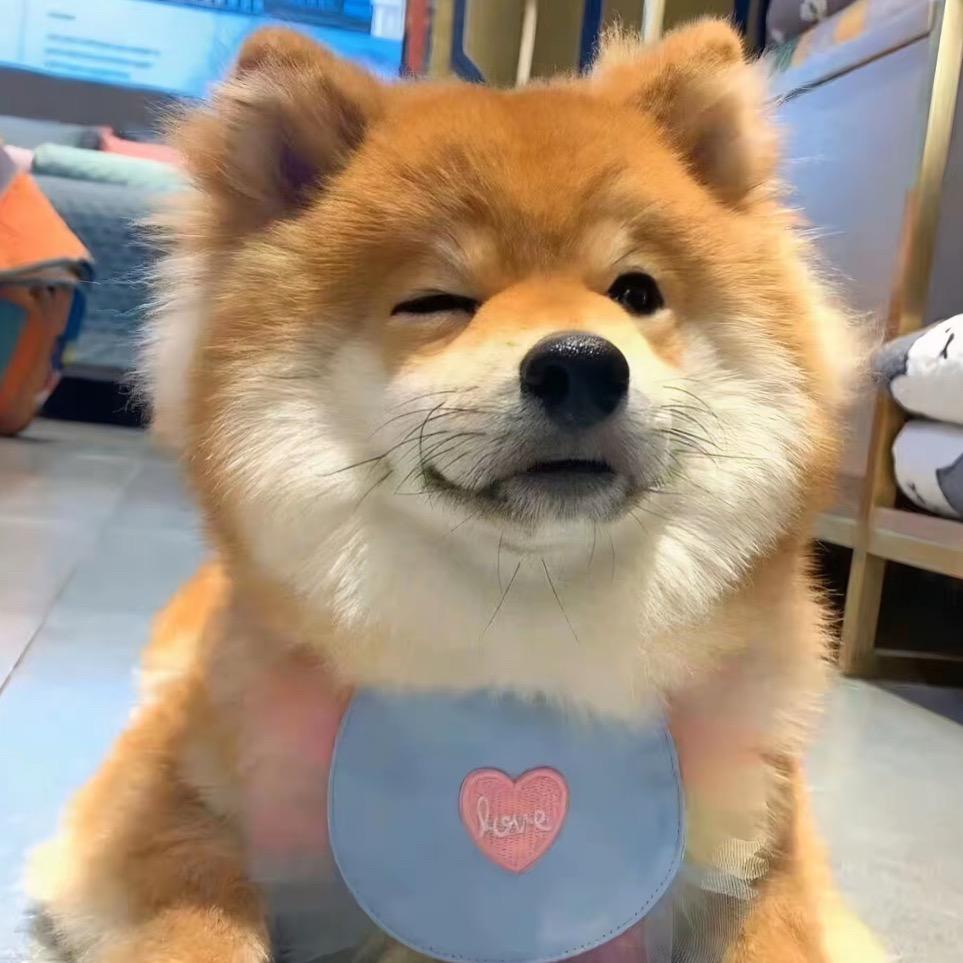 溯痕