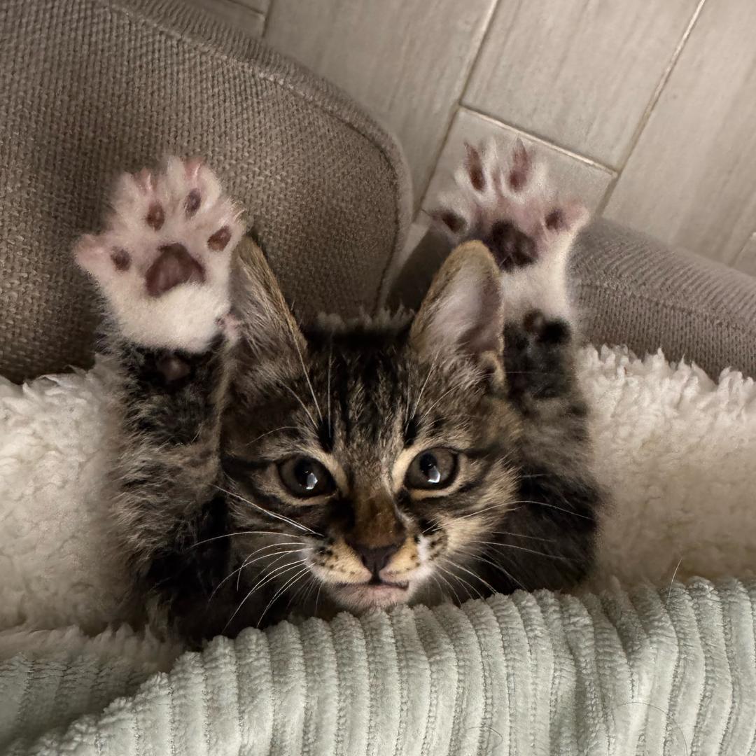 随便起个名字好吗