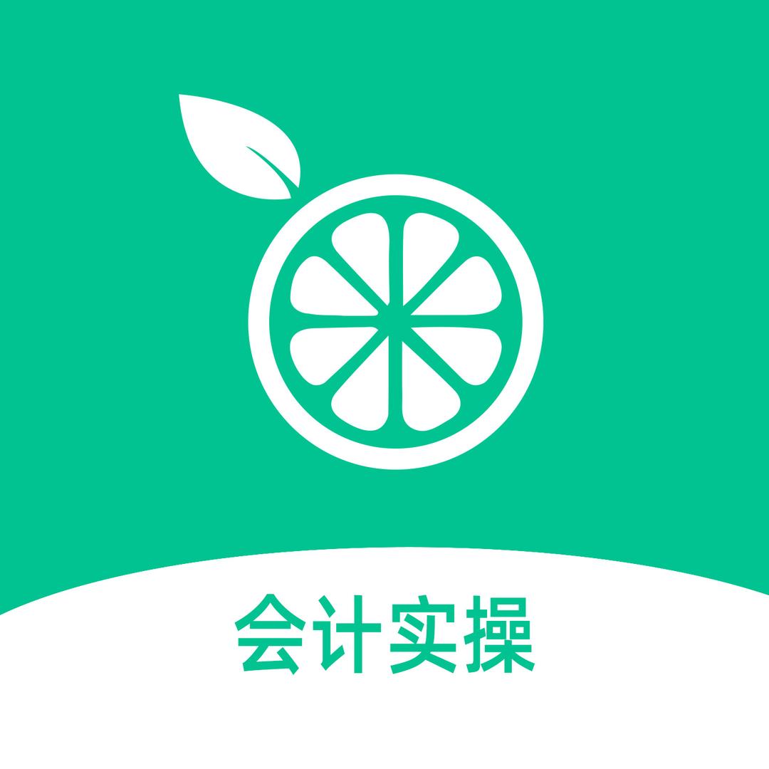 柠檬云会计实操