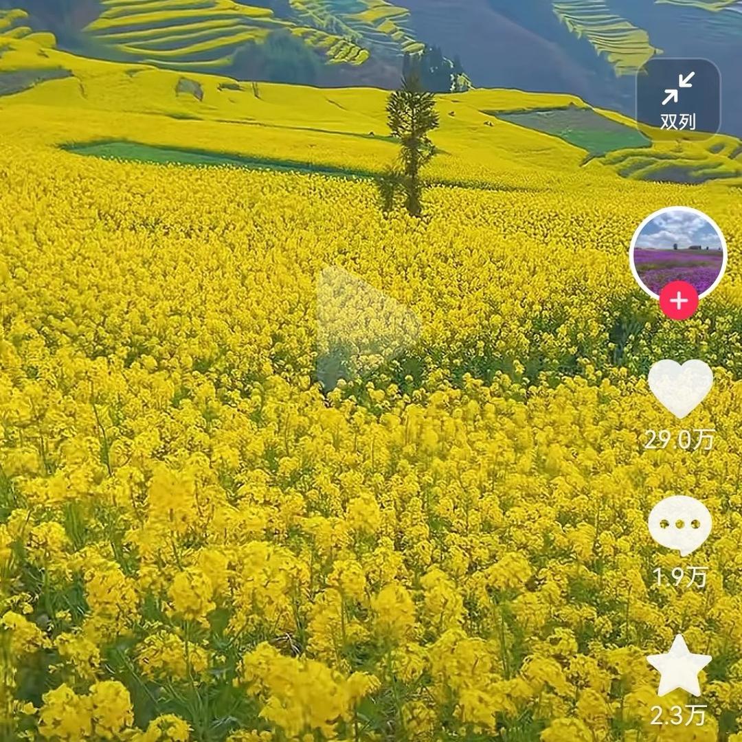 漠然？