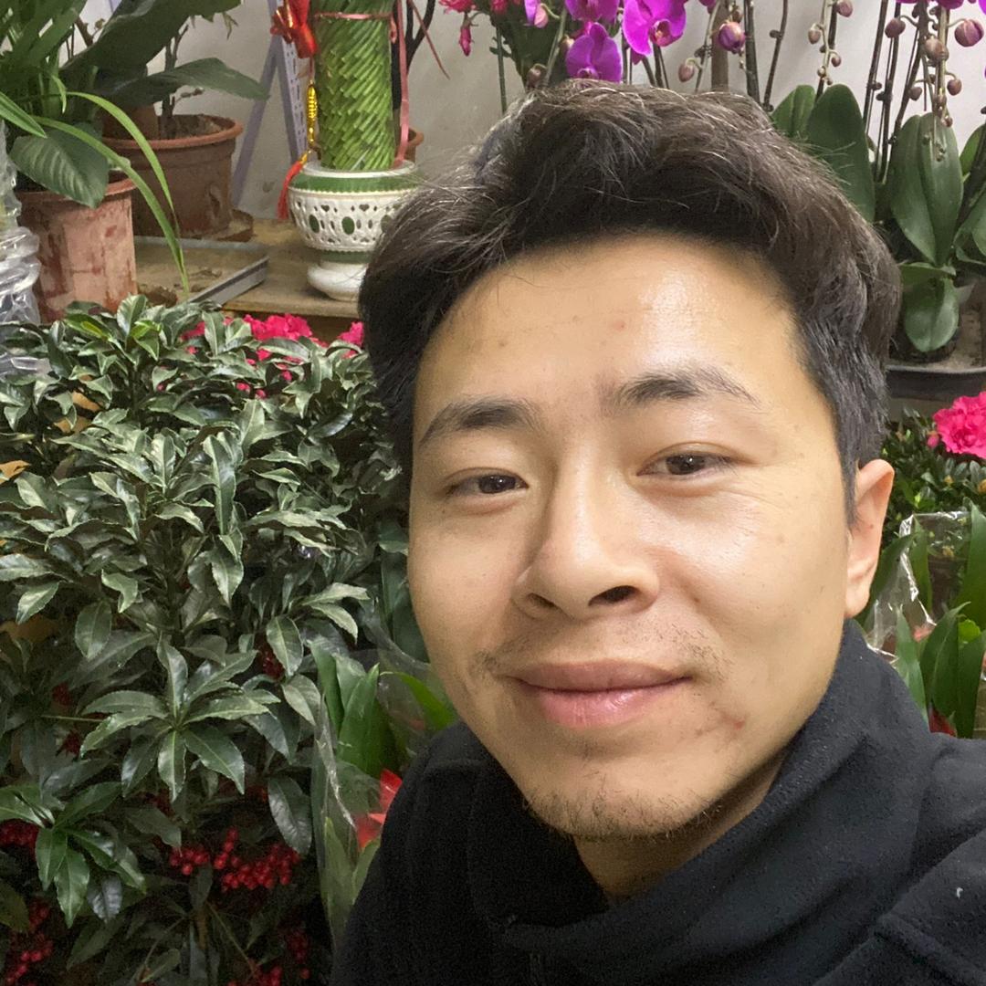植物张
