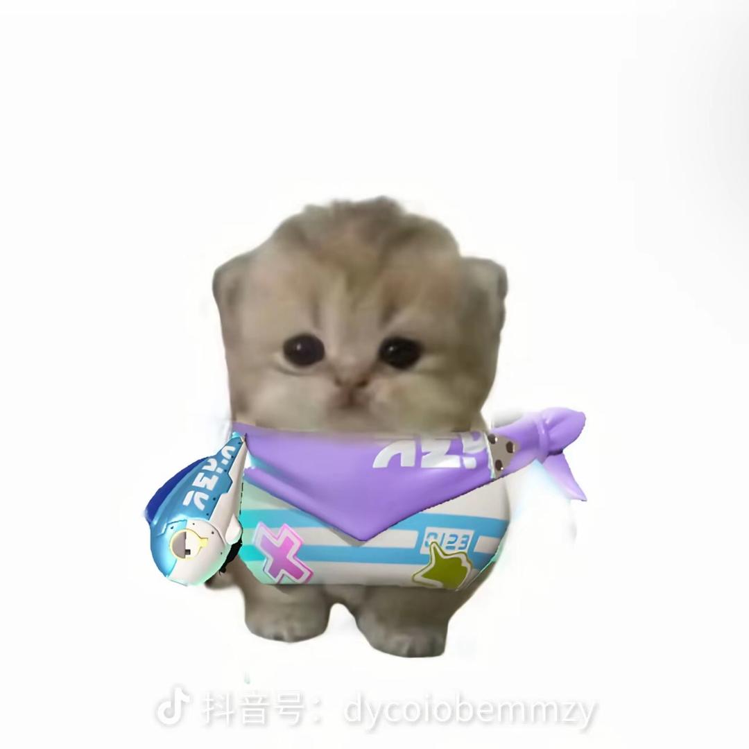 依依宝