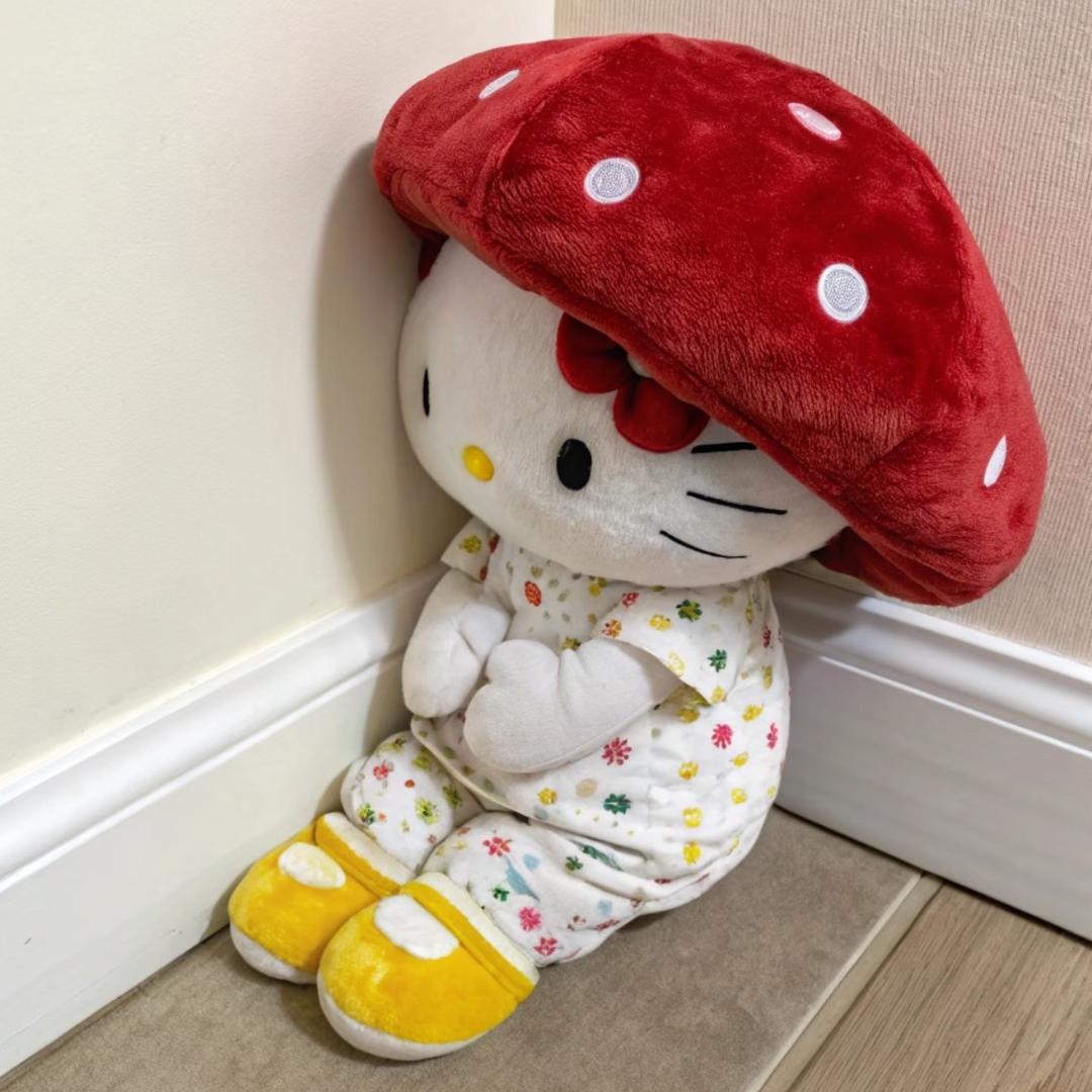 豆鲨了(๓´˘`๓)