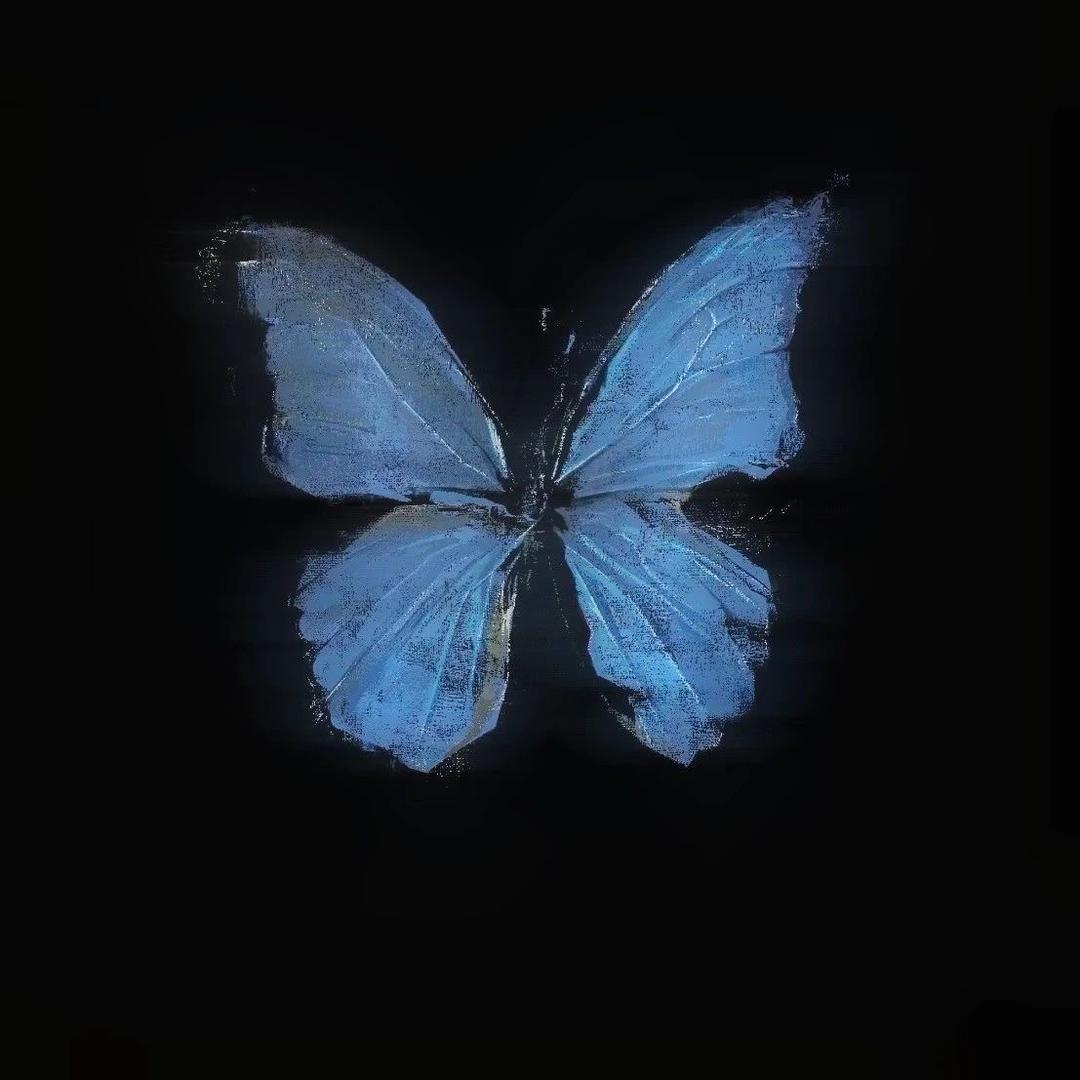 +3an🦋