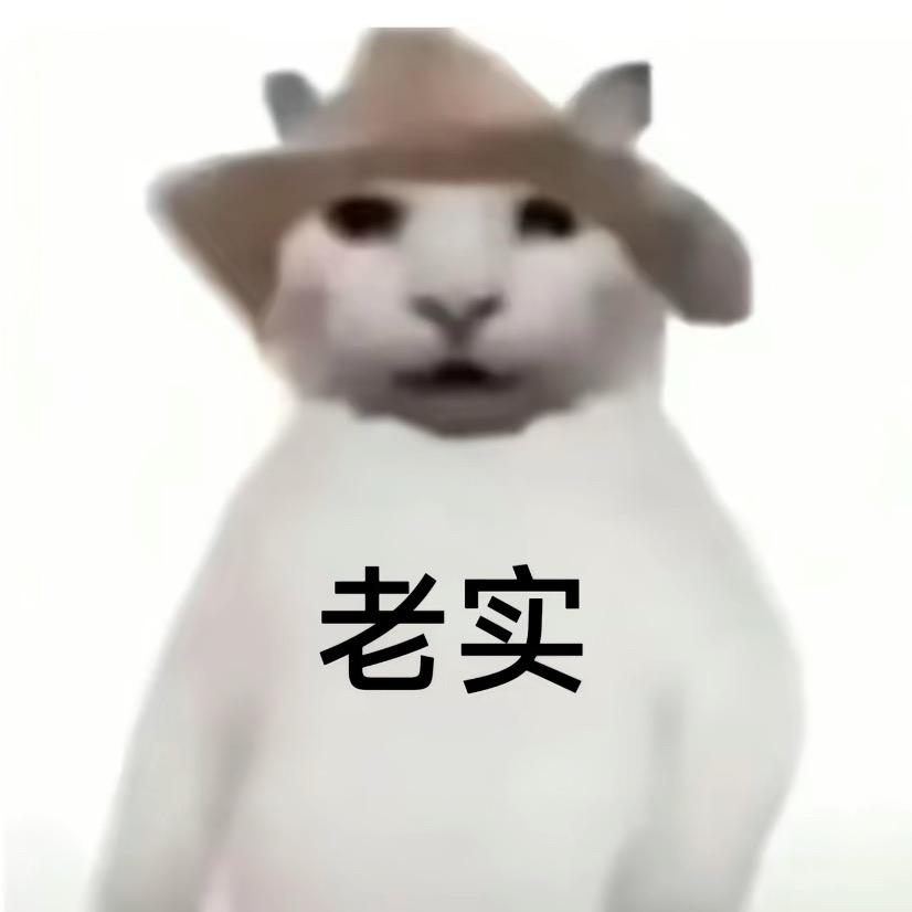 人老实话不多🌊