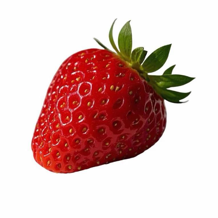 凌晨一点的猫٩(❛ัᴗ❛ั⁎)