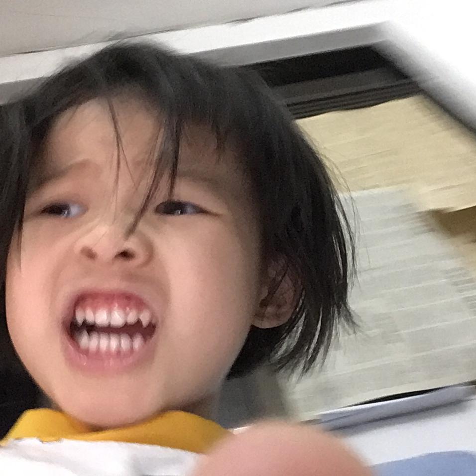 卤小羊