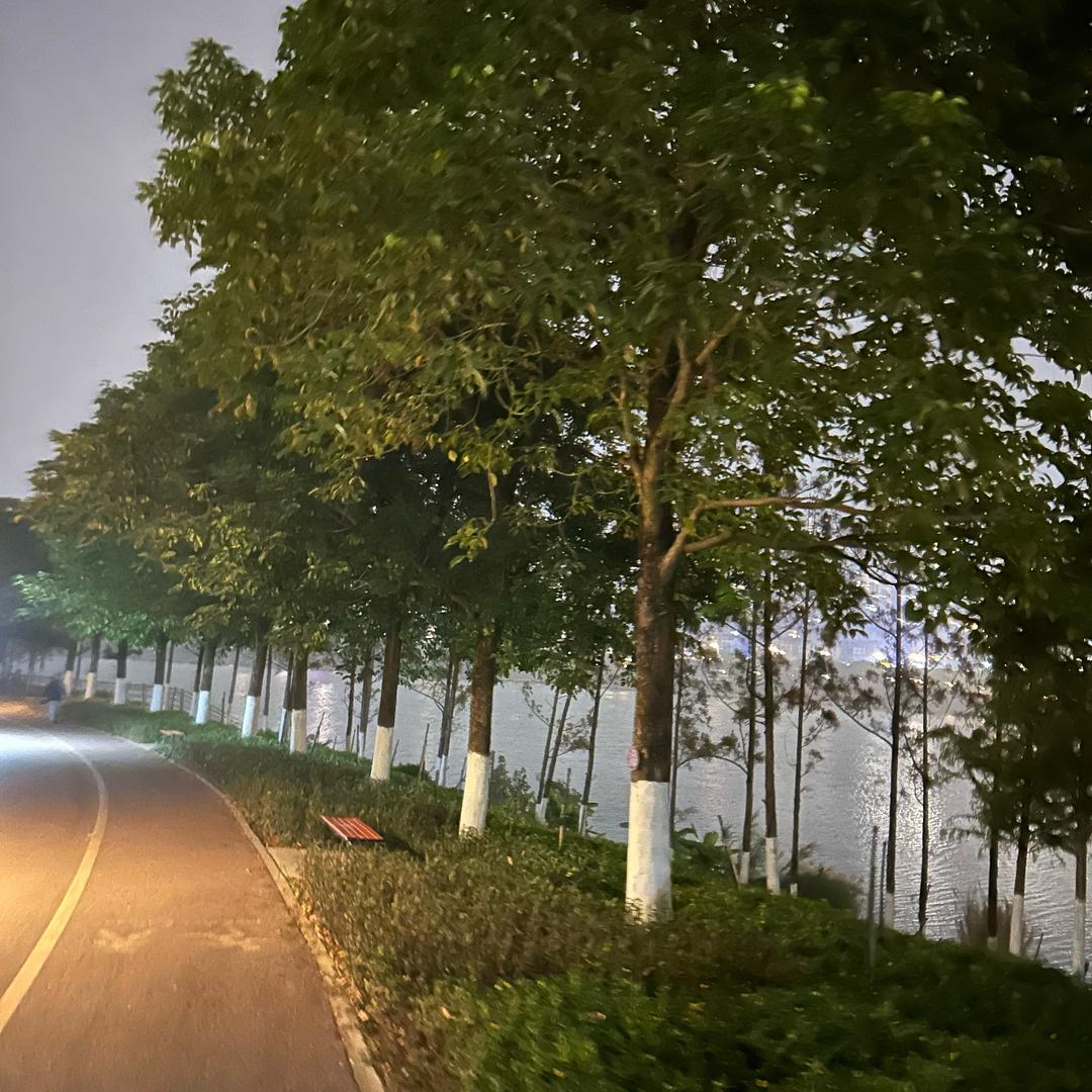 丝绦