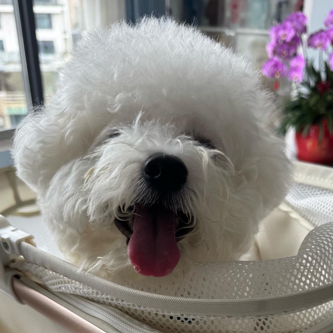小七萌宝呀🐾