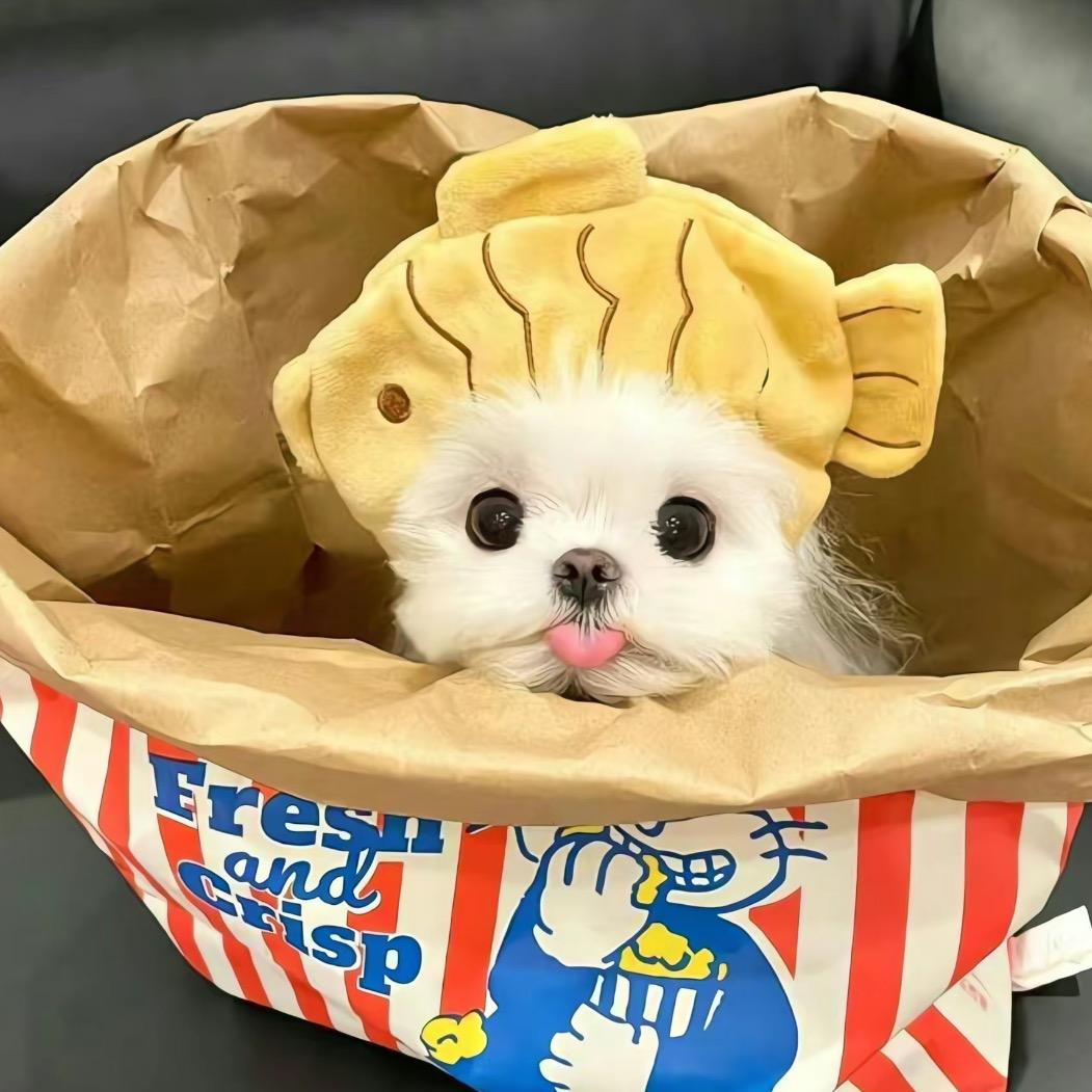 奶咖