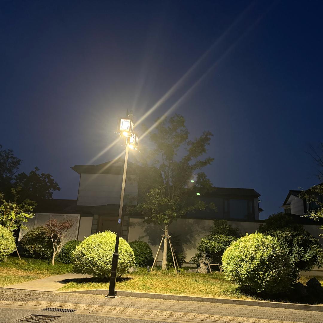 愿你被世界温柔
