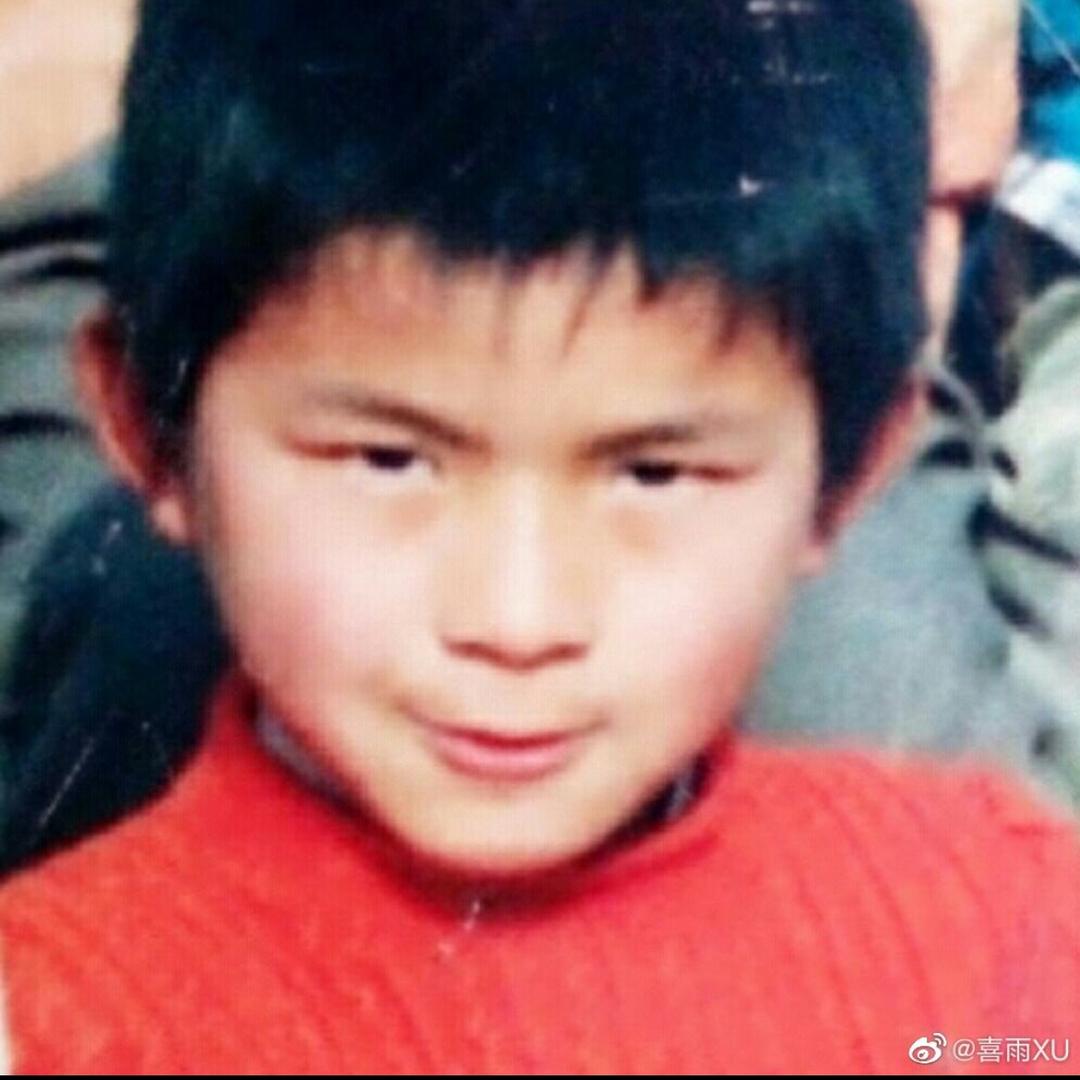 小狗爱吃啥