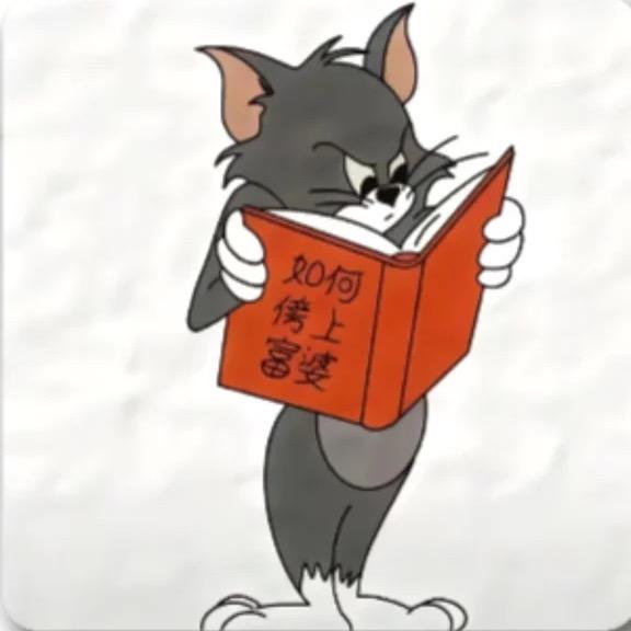 风骐