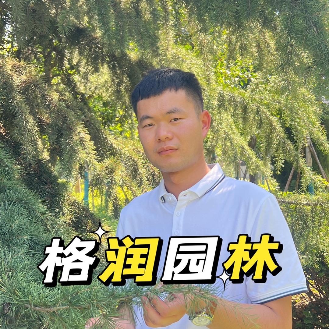 赵老师劳恩格润园林养护