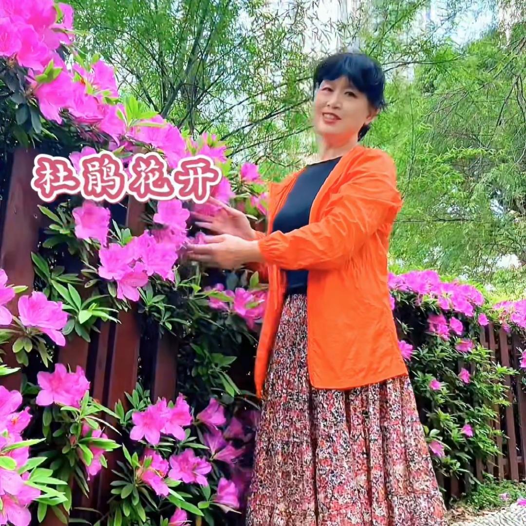 君子兰123