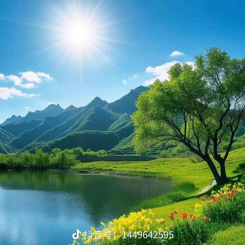 正午阳光～拒聊