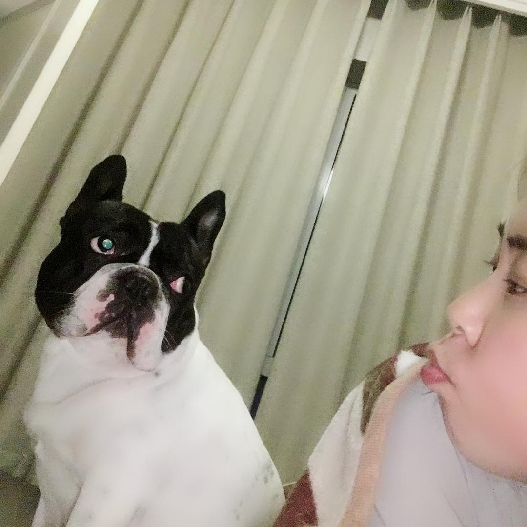 安娜贝尔地板专卖